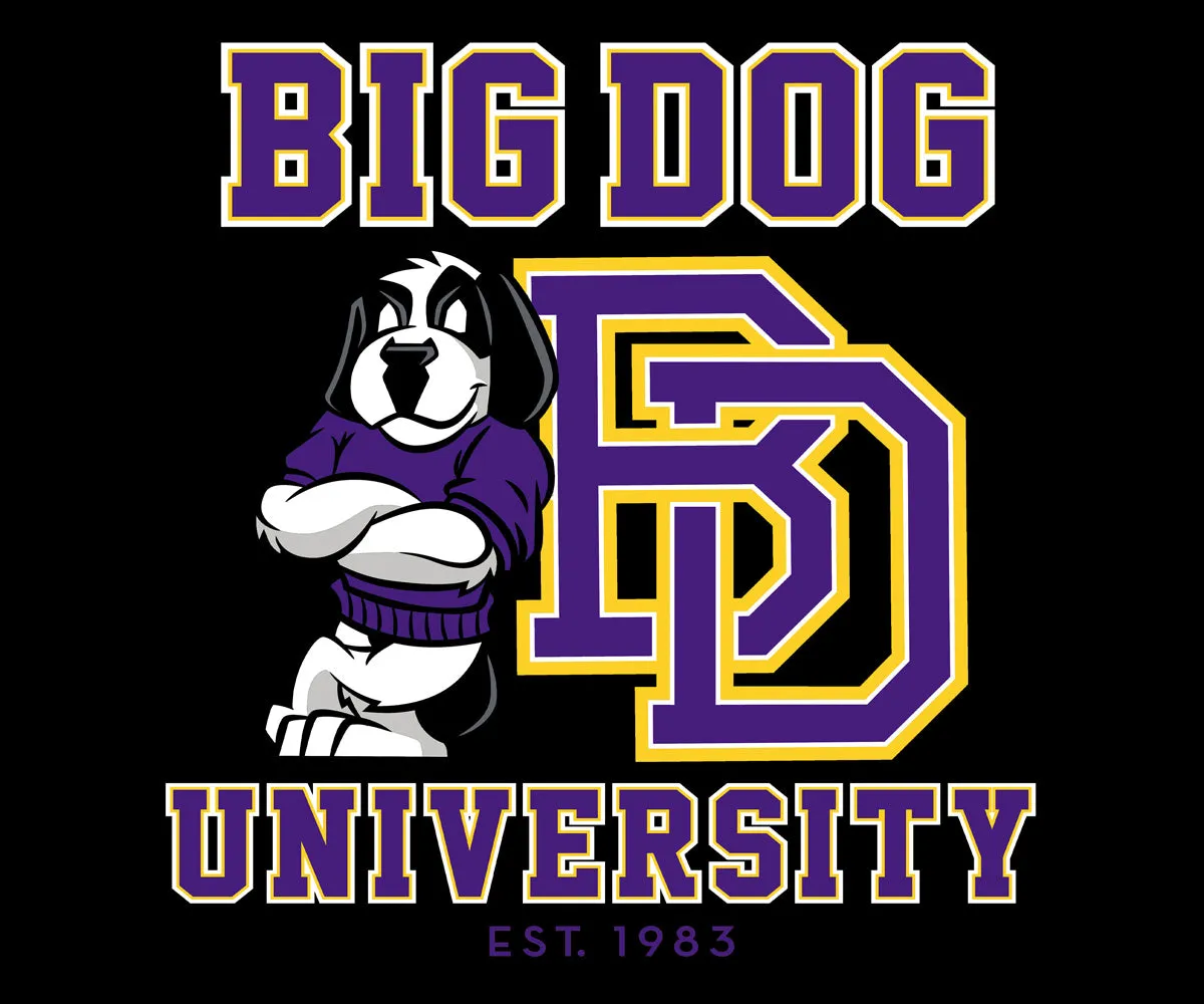 Bd University Purple Gold T-shirt