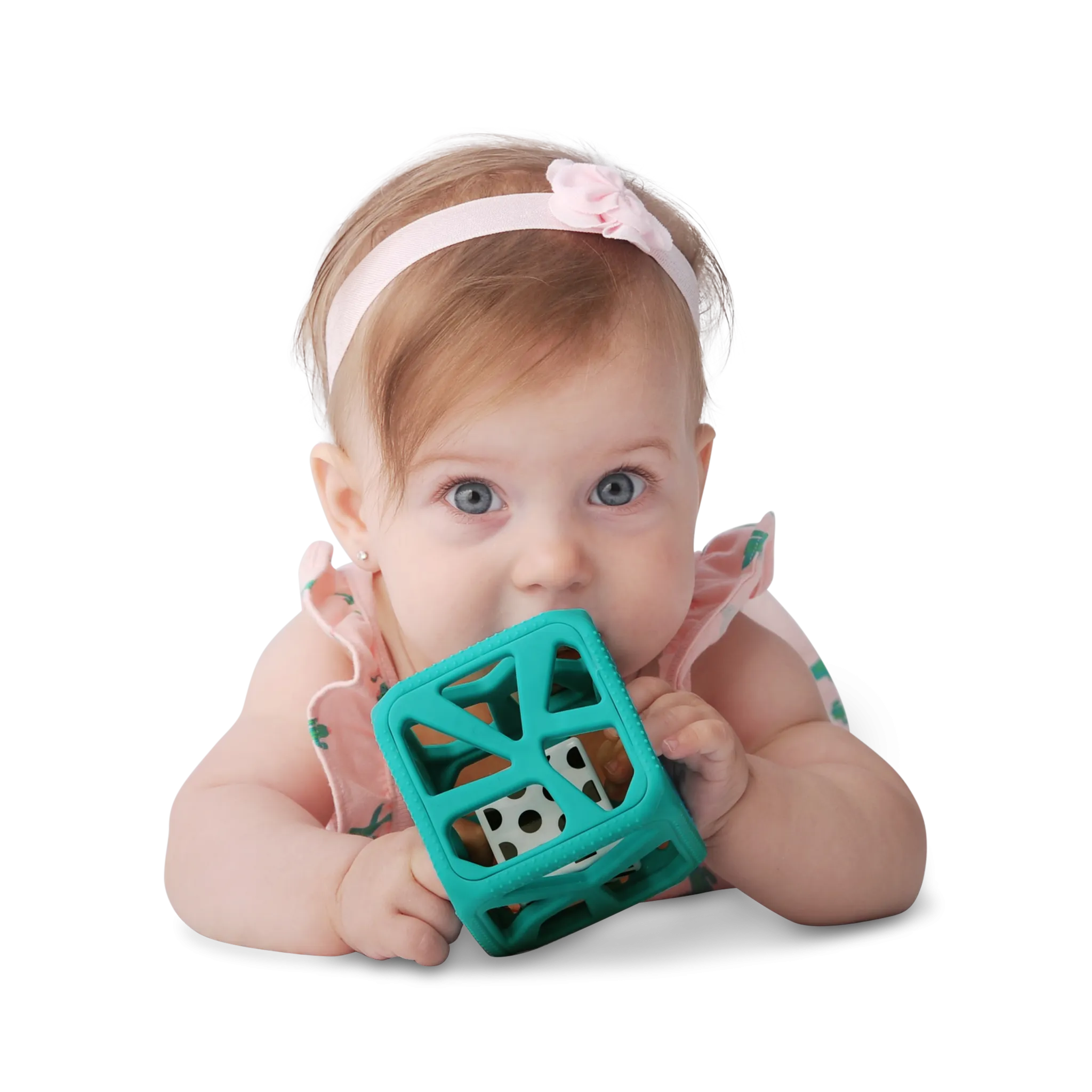 The Chew Cube - Various Colours