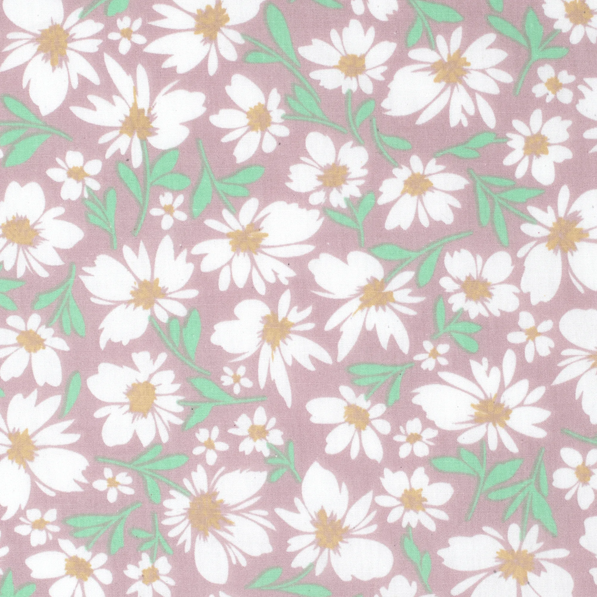 Women's - Georgie - Half Button